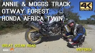 Gentle Annie & Moggs Track Otway Forest Honda Africa Twin Motorbike