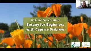 Botany for Beginners with Caprice Disbrow, Webinar hosted by Laguna Foundation and Ag + Open Space