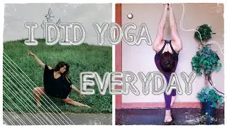 I Did YOGA Everyday For a YEAR