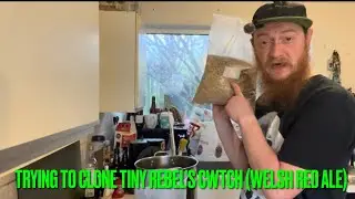Пытаюсь клонировать TINY REBEL&rsquo;S CWTCH (валлийский красный эль) #ферментированныймир