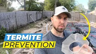 Termimesh Termite Control  - How To Protect Your Home
