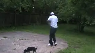 OG jaquency gangstawalkin'