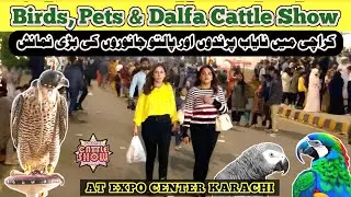 Expo Center Karachi | Karachi Expo Pet Show | Dalfa Show | Ejaz Mateen Official