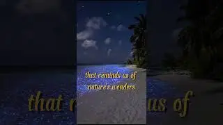 Glowing Beach: Sea of Stars - Vaadhoo Island, Maldives
