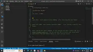 Invalid Host Header ngrok error react dev server solved