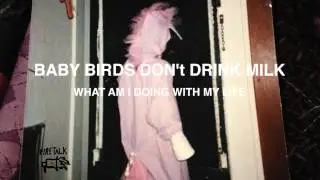 Baby Birds Don't Drink Milk -  What Am I Doing With My Life (Official Audio)