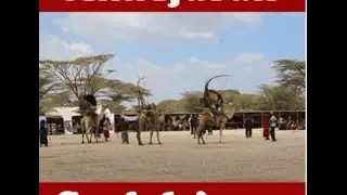 Ajuran Empire