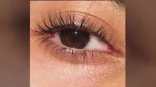 🤎pretty brown eyes ⊹ ࣪ ˖ POWERFUL dark brown eyes subliminal