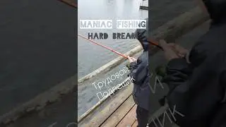 Трудовой Подлещик. Hard Bream. #breamfishing #рыбалканафидер
