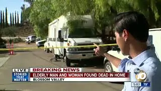 Elderly couple found dead in home