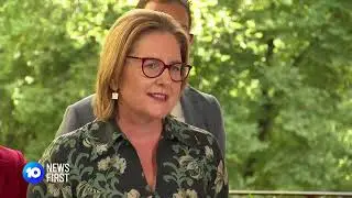 Victorian business report card - 10 News (3 December 2024)