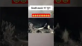 south movie ka चूहा 😂😂🤣🤣 #ultrarange #ultraspeed #performancegear #ultrapro #theravindrasingh