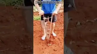 Clever Farming Tool for Precise Seed Placement.