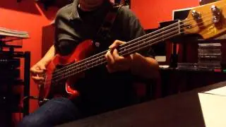 NEW MODEL ARMY - Purity - Squier Bass Cover