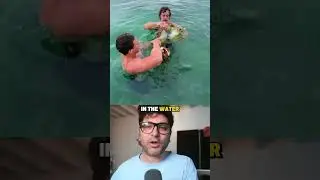 網に巻き付いたウミガメが海に浮かんでいる