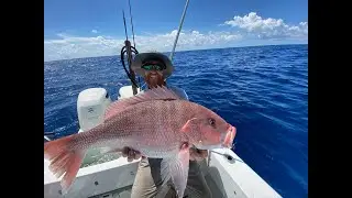 Grilled Whole American Red Snapper/Offshore Naples Florida!! {CATCH, CLEAN, COOK}