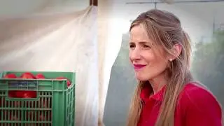 El campo no espera. Cosechas y debes vender. Pero no hay compradores y el campesino sufre #covid19
