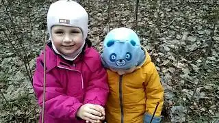 VID 20200307 163831