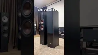 DALI Opticon 6 MK2