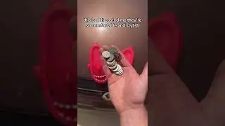 Amazing Deal on These Affordable Slides #foryoupage #sharkslides #slides #beach