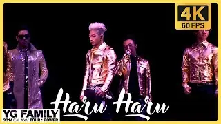 [4K 60FPS] BIGBANG - HARU HARU (하루 하루) @ 2014 YG Family World Tour : POWER in Japan