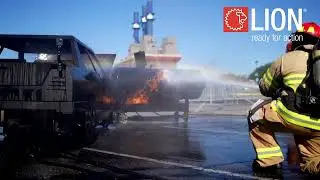 LION TRAINING PRODUCTS
