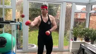 Boxing Ball Review #shorts