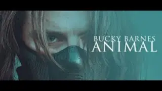 Bucky Barnes | Animal