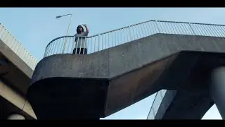 (K9, Wiley, Cadell, Jammer diss) BENJI WILD - SHEEP