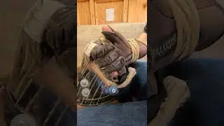 How Bareback Riders Stay In