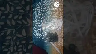 Daraz Loot Mall || Advance Tech || Ahsan Ali