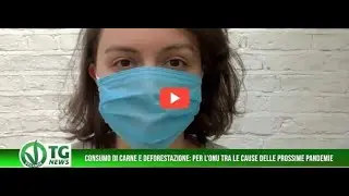 VEGANOK TG News 120 edizione