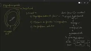 Megaspore Mother Cell Formation | Simplest Explanation Ever! #biotechnology #ncert #biology