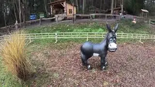 Ponyhof ( Onride / POV ) [ Freizeit-Land Geiselwind 2024 ]