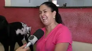 BALANÇO GERAL -  Ovelha criada em casa e usa fraldas