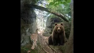 Běh na Malý Polom z Tyry 4K