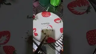 Ketemu lagi guys, aku hari ini bikin sarapan guys, ditemani mamah ya guys 🥰😄
