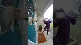 This delivery went very wrong 😂