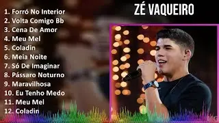 Z&eacute; Vaqueiro 2024 MIX Maiores Sucessos - Forr&oacute; No Interior, Volta Comigo Bb, Cena De Amor, Meu Mel