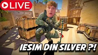🔴 PALETELE SE INTORC PE CS ?! 🔴 CS2 LIVE ROMANIA 🔴