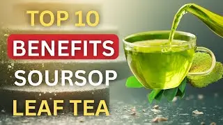 10 Powerful Health Benefits of Soursop Leaf Tea | Natural Remedy for Inflammation, Cancer