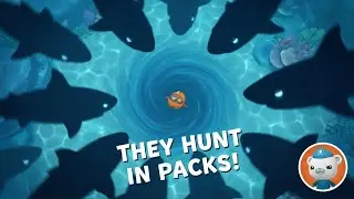 Octonauts: The Swarm Mystery! 🦈 Giant Megalodon Pack Attack and the Blue | Octonauts Full Episode