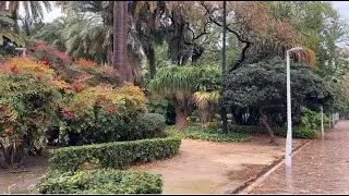 MALAGA LIVE (december 28, 2025)