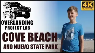 Cove Beach - Ano Nuevo State Park 2020 California 4K