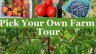 Pick Your Own Farm Tour