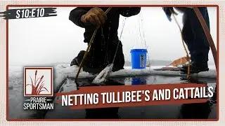 Netting Tullibee's and Cattails | Prairie Sportsman (S10:E10)