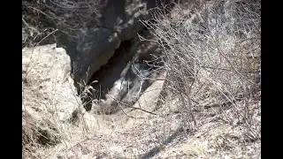 Ice Caves in the Rugged Badlands of North Dakota?  Yes!!