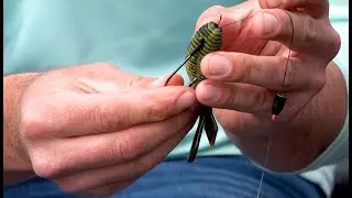 Rigging the Palmetto BugZ for Flipping Heavy Cover