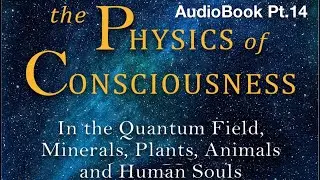 Audiobook: The Physics of Consciousness; Pt. 14, by Ivan Antic