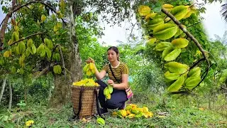 Taking care of animals, cooking, weaving bamboo baskets to harvest agricultural products to sell